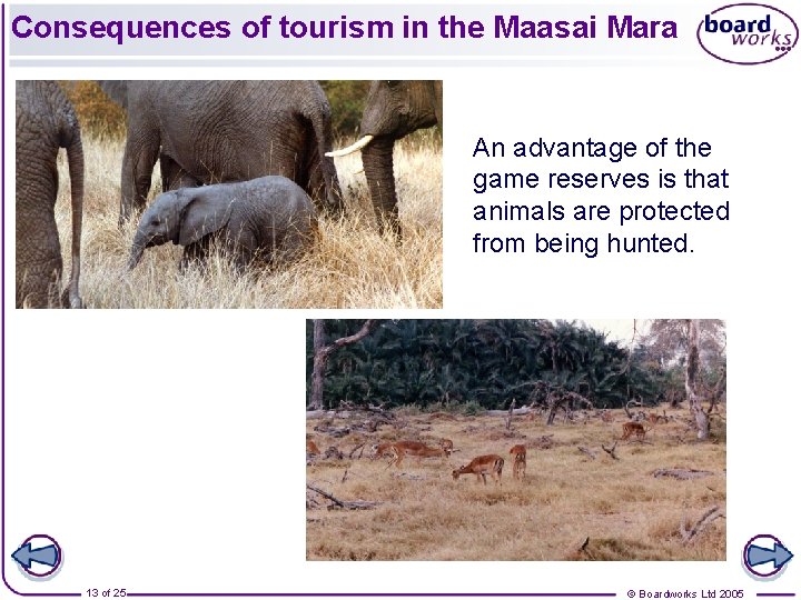 Consequences of tourism in the Maasai Mara An advantage of the game reserves is