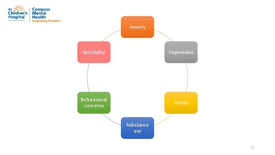 Anxiety Suicidality Depression Behavioural concerns ADHD Substance use 13 