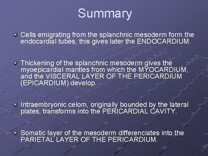 Summary Cells emigrating from the splanchnic mesoderm form the endocardial tubes, this gives later Summary Cells emigrating from the splanchnic mesoderm form the endocardial tubes, this gives later