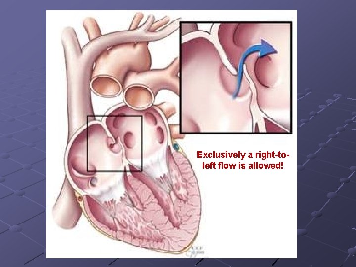 Exclusively a right-toleft flow is allowed! Exclusively a right-toleft flow is allowed!