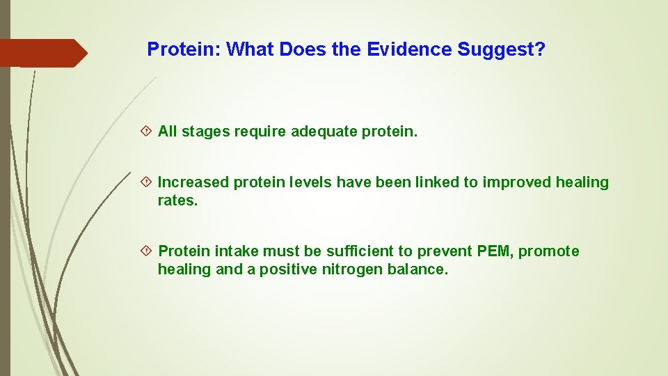 Protein: What Does the Evidence Suggest? All stages require adequate protein. Increased protein levels