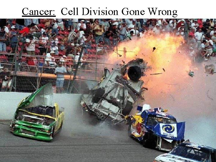 Cancer: Cell Division Gone Wrong 