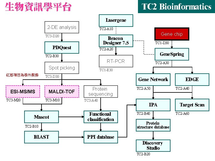 生物資訊學平台 TC 2 Bioinformatics Lasergene 2 -DE analysis TC 2 -A 10 TC 3