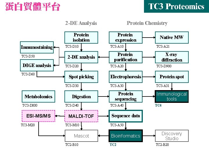 蛋白質體平台 TC 3 Proteomics 2 -DE Analysis Protein isolation Immunostaining TC 3 -D 50