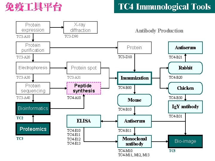 免疫 具平台 Protein expression TC 3 -A 10 TC 4 Immunological Tools X-ray diffraction