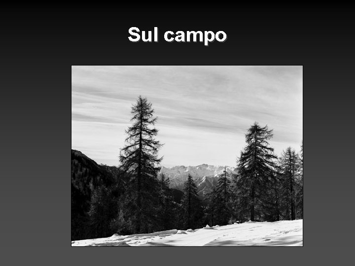 Sul campo 