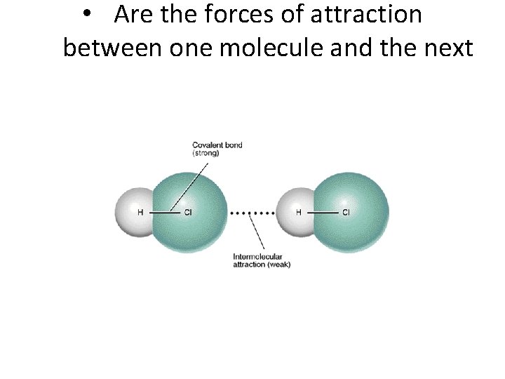  • Are the forces of attraction between one molecule and the next 