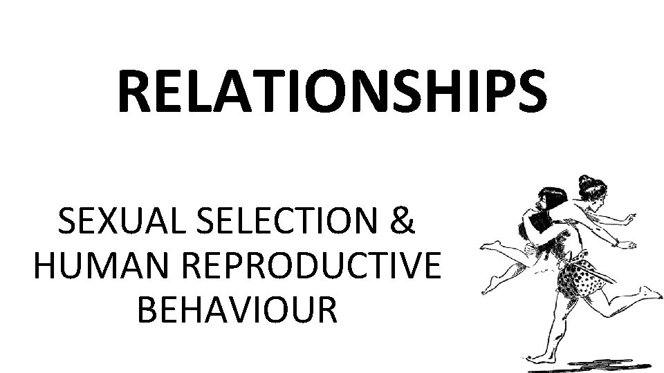 RELATIONSHIPS SEXUAL SELECTION & HUMAN REPRODUCTIVE BEHAVIOUR 