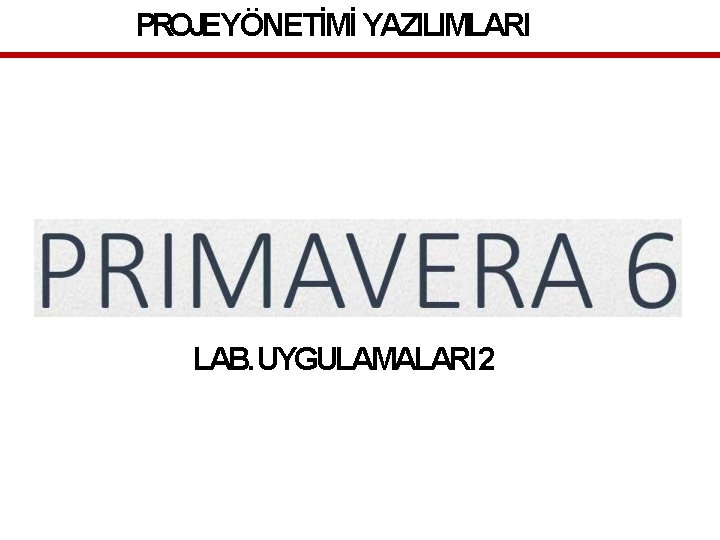 PROJEYÖNETİMİ YAZILIMLARI LAB. UYGULAMALARI 2 