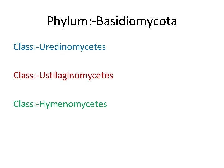 Phylum: -Basidiomycota Class: -Uredinomycetes Class: -Ustilaginomycetes Class: -Hymenomycetes 