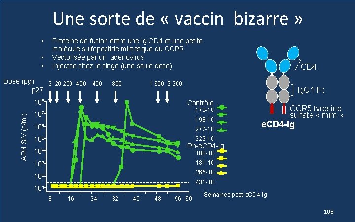 Une sorte de « vaccin bizarre » • Protéine de fusion entre une Ig