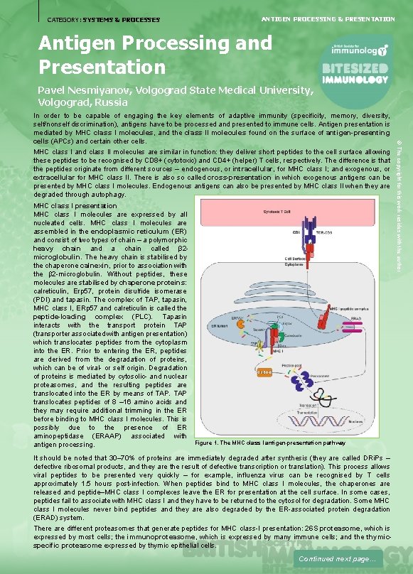 CATEGORY: SYSTEMS & PROCESSES ANTIGEN PROCESSING & PRESENTATION Antigen Processing and Presentation Pavel Nesmiyanov,