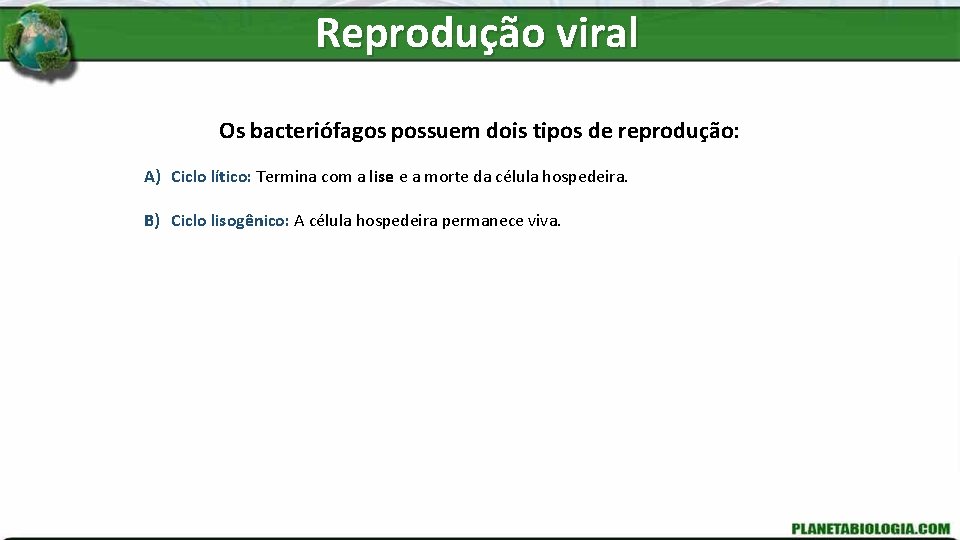 Reprodução viral Os bacteriófagos possuem dois tipos de reprodução: A) Ciclo lítico: Termina com