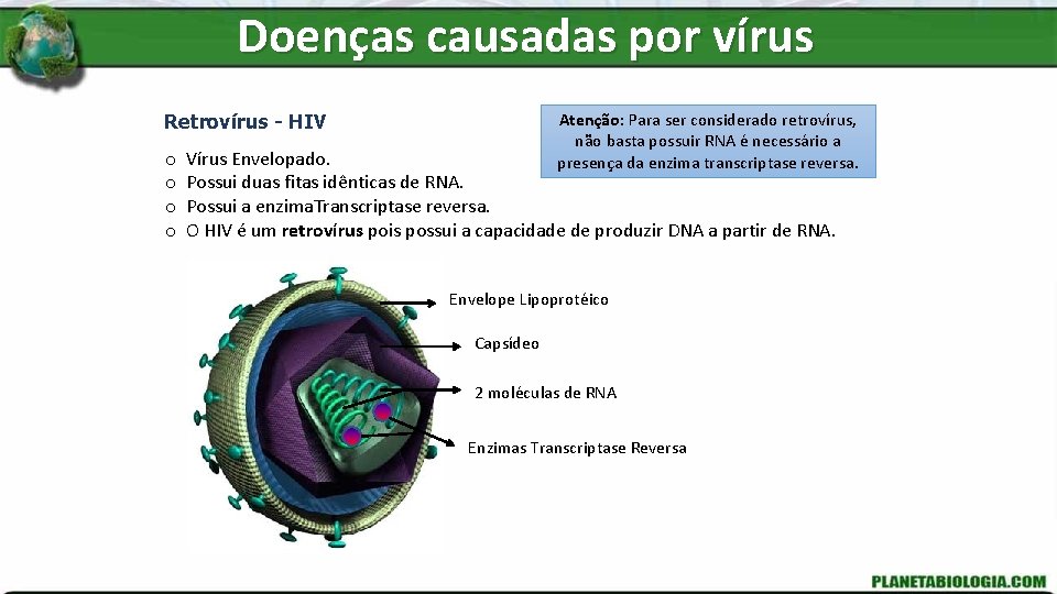 Doenças causadas por vírus Atenção: Para ser considerado retrovírus, não basta possuir RNA é