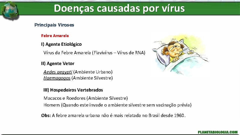 Doenças causadas por vírus Principais Viroses Febre Amarela I) Agente Etiológico Vírus da Febre