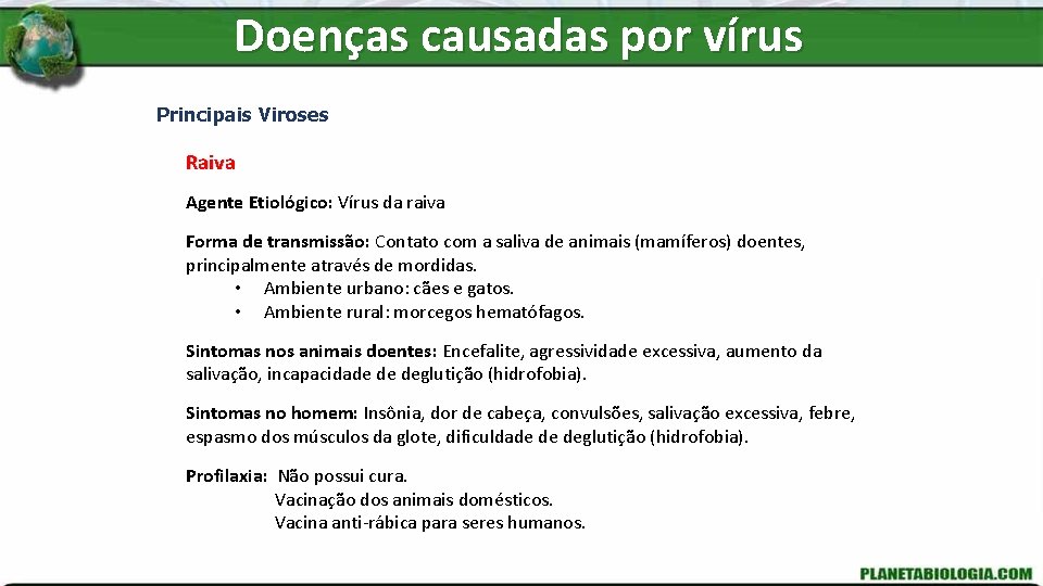 Doenças causadas por vírus Principais Viroses Raiva Agente Etiológico: Vírus da raiva Forma de