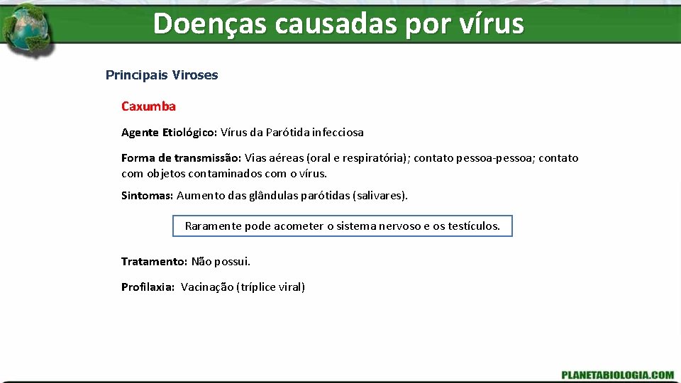 Doenças causadas por vírus Principais Viroses Caxumba Agente Etiológico: Vírus da Parótida infecciosa Forma