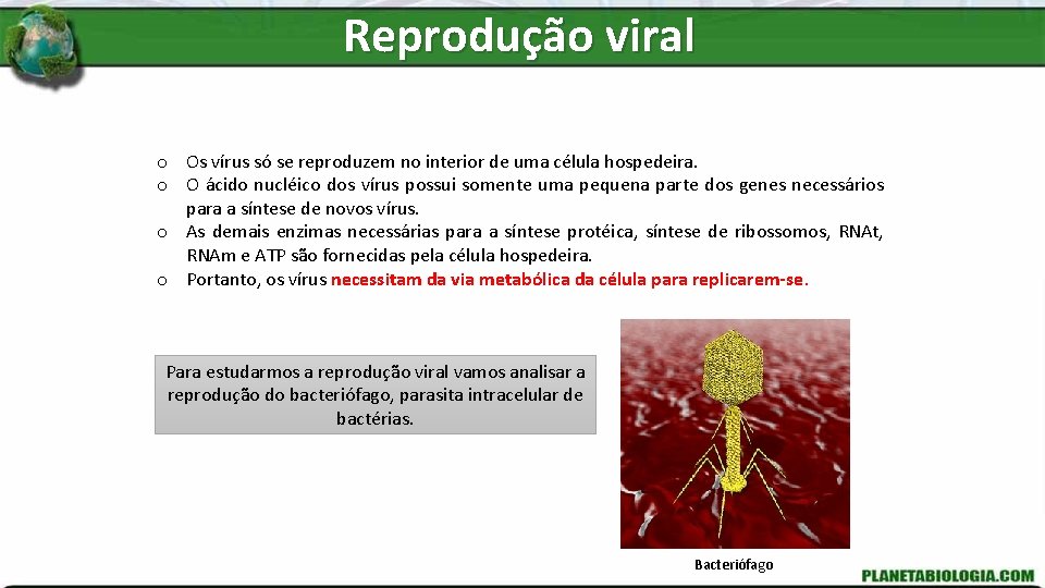 Reprodução viral o Os vírus só se reproduzem no interior de uma célula hospedeira.