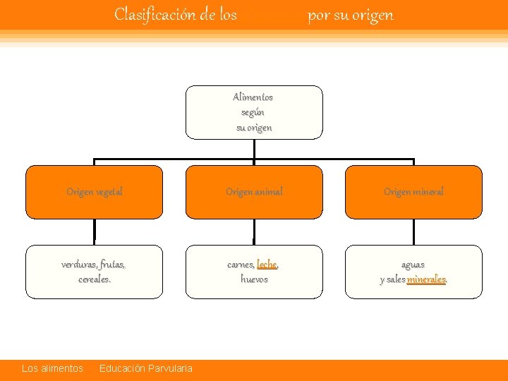 Clasificación de los alimentos por su origen Alimentos según su origen Origen vegetal Origen