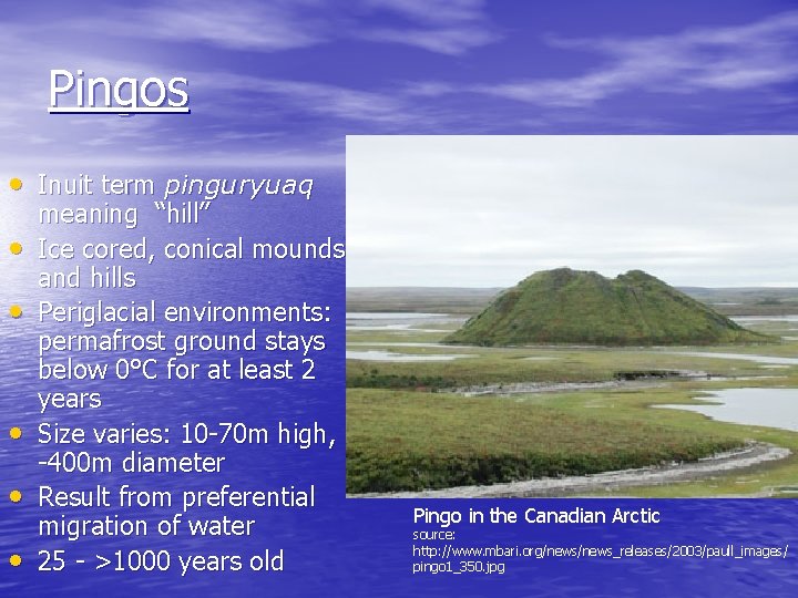 Pingos • Inuit term pinguryuaq • • • meaning “hill” Ice cored, conical mounds