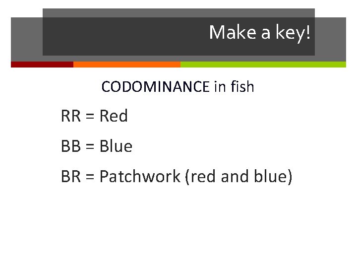 Make a key! CODOMINANCE in fish RR = Red BB = Blue BR =