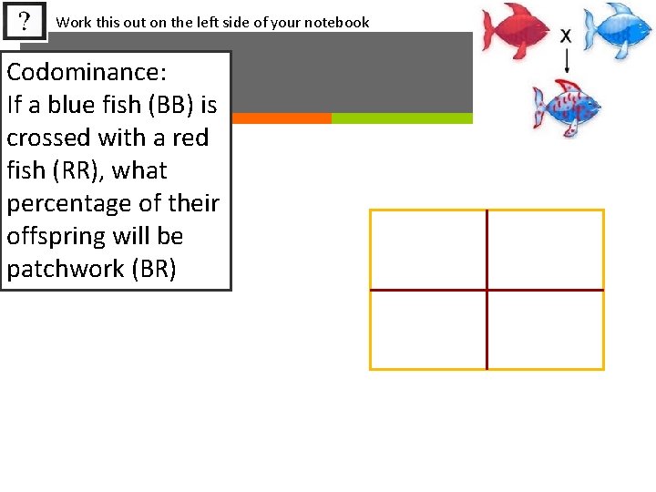 Work this out on the left side of your notebook Codominance: If a blue