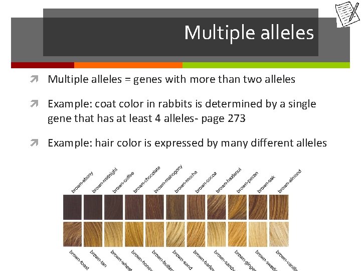 Multiple alleles = genes with more than two alleles Example: coat color in rabbits
