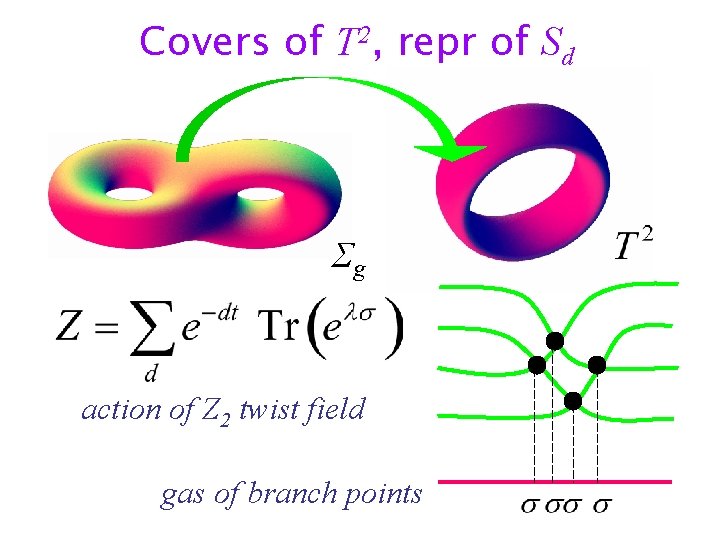 Covers of T 2, repr of Sd Σg action of Z 2 twist field