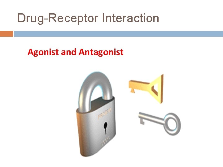 Drug-Receptor Interaction Agonist and Antagonist 