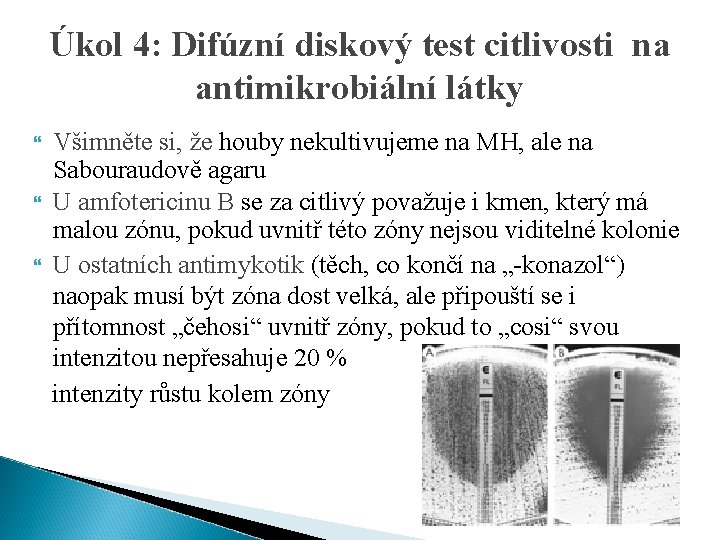 Úkol 4: Difúzní diskový test citlivosti na antimikrobiální látky Všimněte si, že houby nekultivujeme