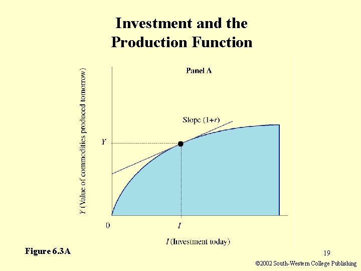 Investment and the Production Function Figure 6. 3 A 19 © 2002 South-Western College