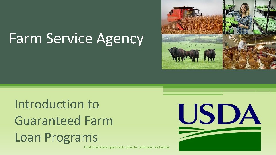 Farm Service Agency Introduction to Guaranteed Farm Loan Programs USDA is an equal opportunity