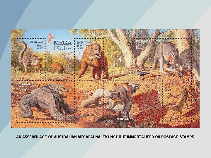 AN ASSEMBLAGE OF AUSTRALIAN MEGAFAUNA: EXTINCT BUT IMMORTALISED ON POSTAGE STAMPS 