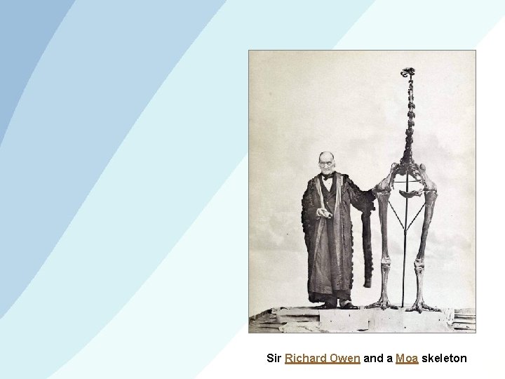 Sir Richard Owen and a Moa skeleton 
