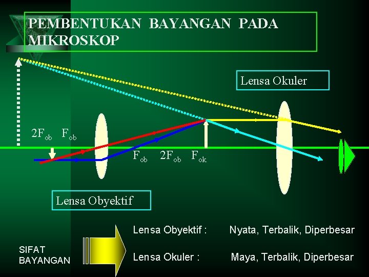 PEMBENTUKAN BAYANGAN PADA MIKROSKOP Lensa Okuler 2 Fob Fob 2 Fob Fok Lensa Obyektif