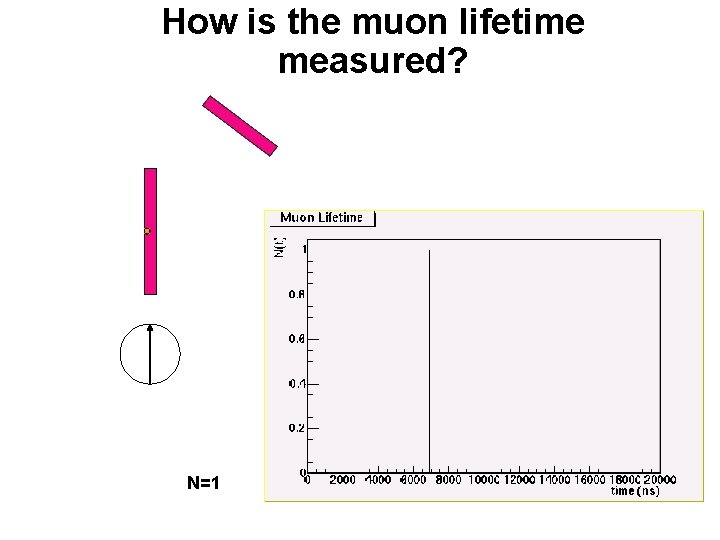 How is the muon lifetime measured? N=1 