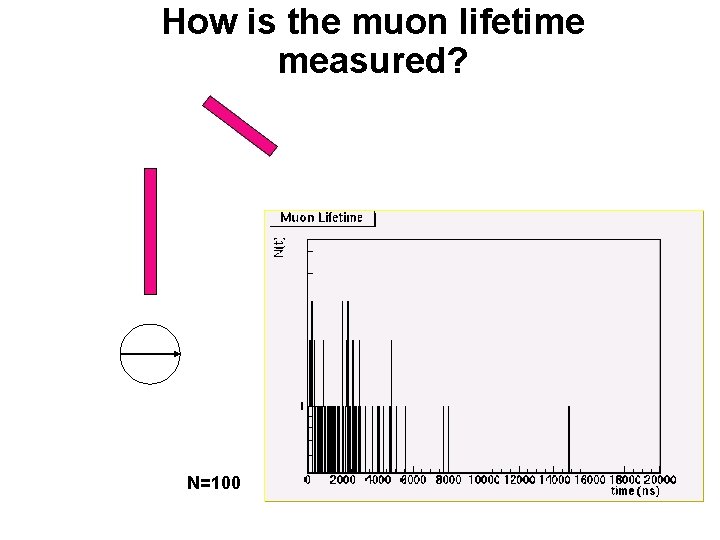 How is the muon lifetime measured? N=100 