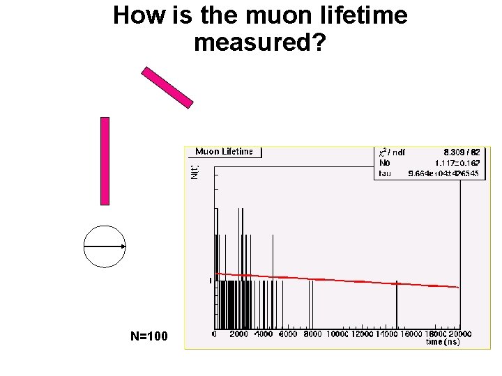 How is the muon lifetime measured? N=100 
