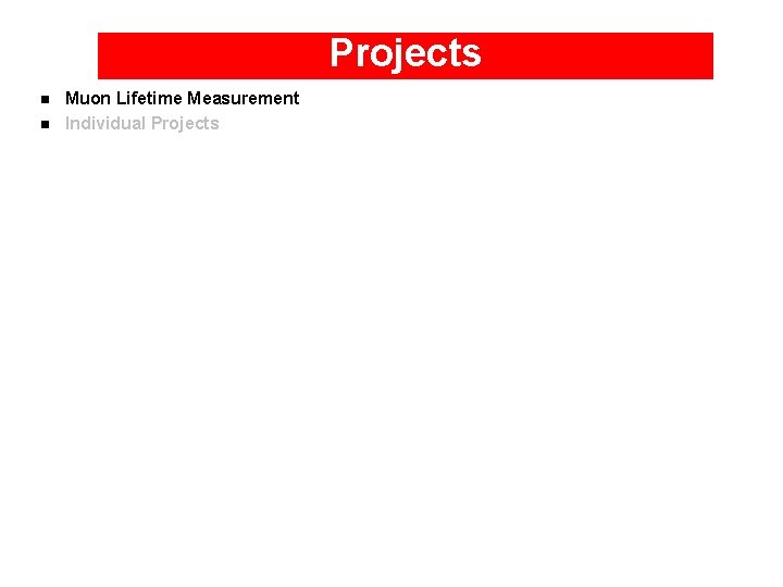 Projects n n Muon Lifetime Measurement Individual Projects 