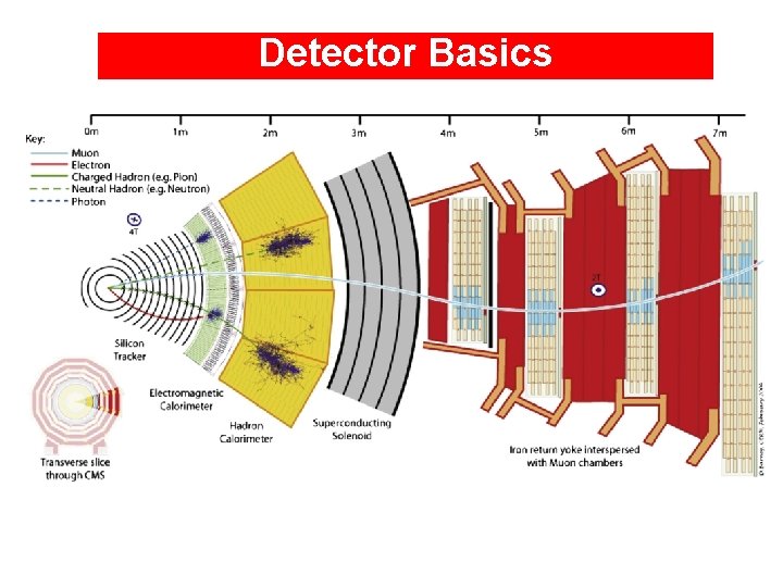 Detector Basics 