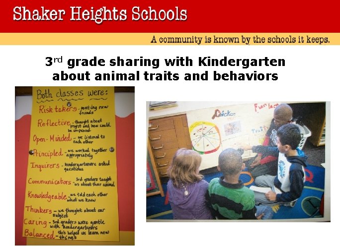 3 rd grade sharing with Kindergarten about animal traits and behaviors 
