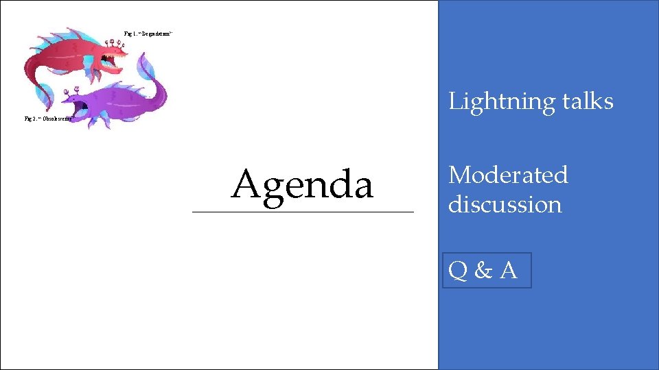Fig 1. “ Degradation” Lightning talks Fig 2. “ Obsolescence” Agenda Moderated discussion Q&A Fig 1. “ Degradation” Lightning talks Fig 2. “ Obsolescence” Agenda Moderated discussion Q&A