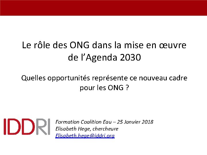 Le rôle des ONG dans la mise en œuvre de l’Agenda 2030 Quelles opportunités