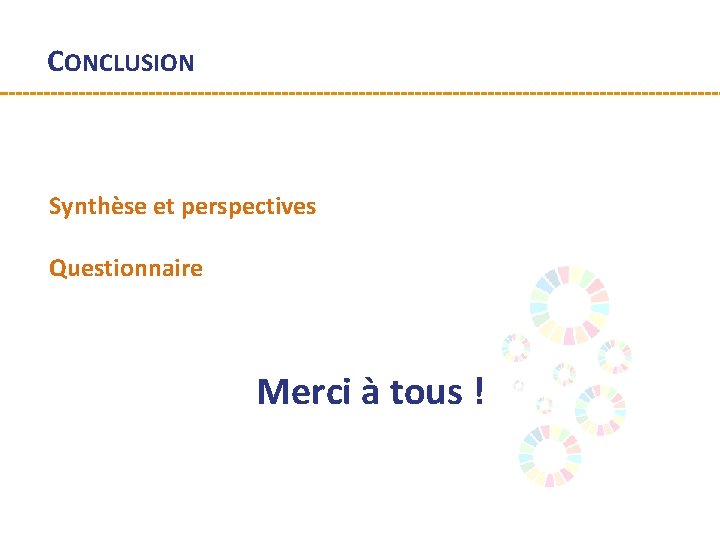 CONCLUSION Synthèse et perspectives Questionnaire Merci à tous ! 