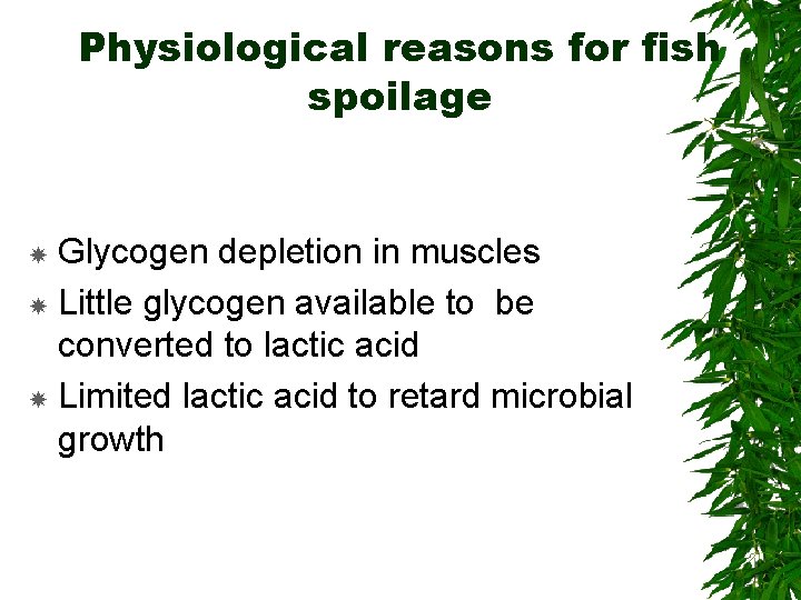 Physiological reasons for fish spoilage Glycogen depletion in muscles Little glycogen available to be