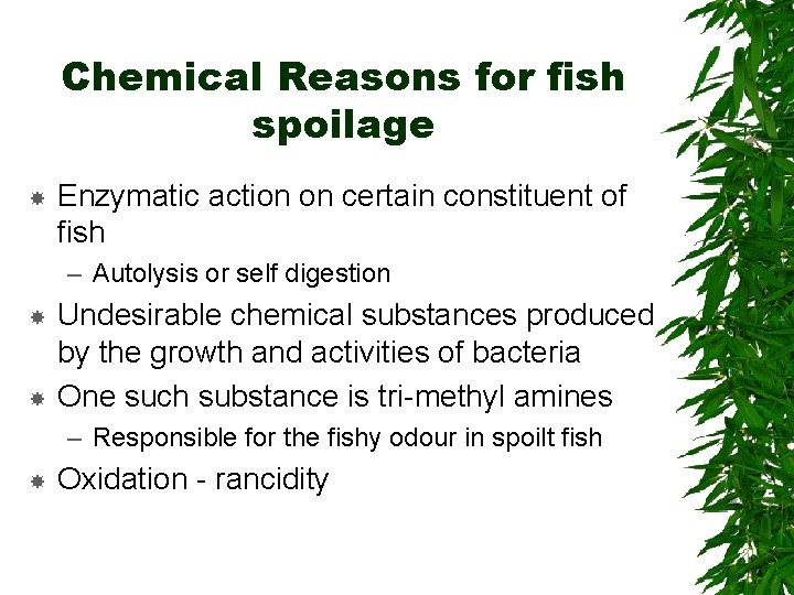Chemical Reasons for fish spoilage Enzymatic action on certain constituent of fish – Autolysis