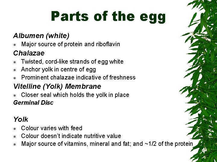 Parts of the egg Albumen (white) Major source of protein and riboflavin Chalazae Twisted,