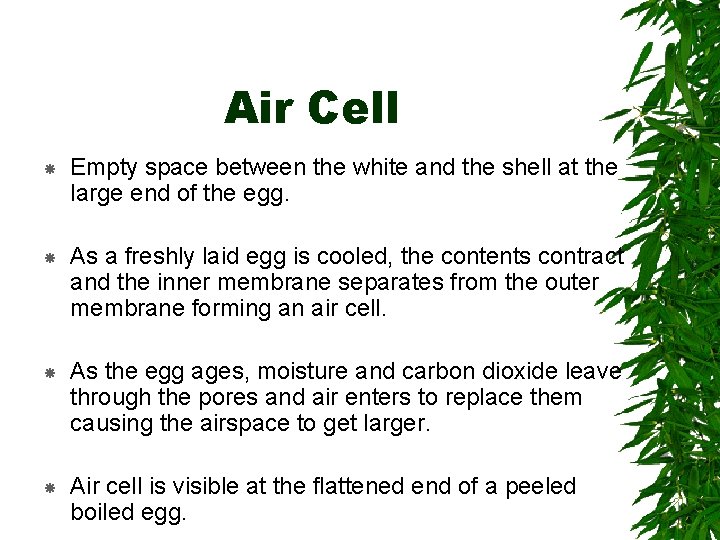 Air Cell Empty space between the white and the shell at the large end