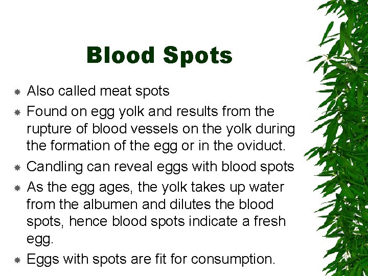 Blood Spots Also called meat spots Found on egg yolk and results from the