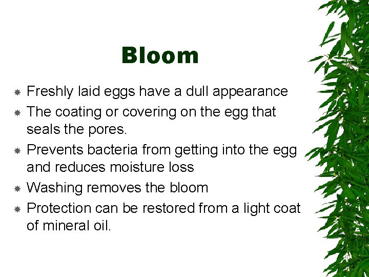 Bloom Freshly laid eggs have a dull appearance The coating or covering on the